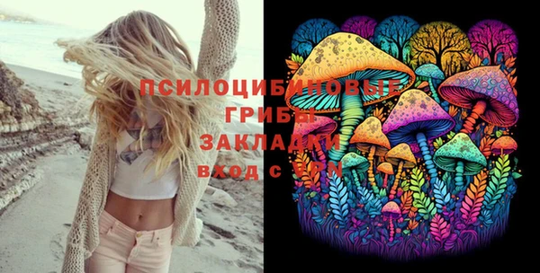 гашик Алзамай