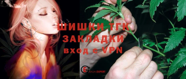 крисы Алексин