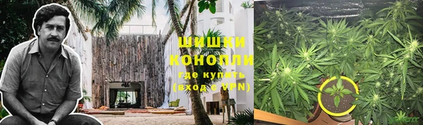 гашик Алзамай