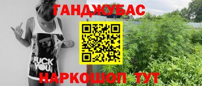 шишки Лесосибирск
