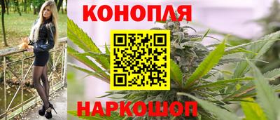 шишки Лесосибирск