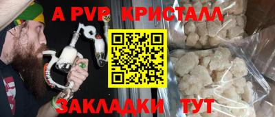 шишки Лесосибирск
