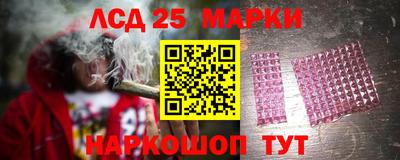 шишки Лесосибирск